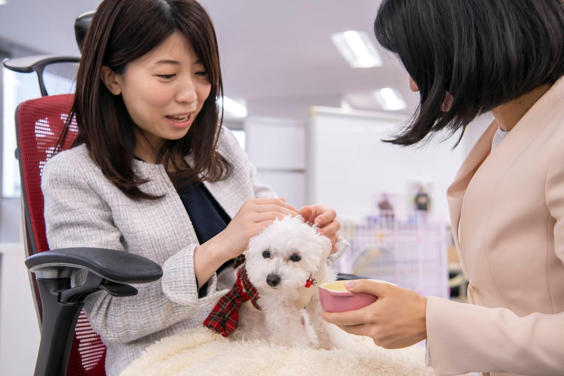 経営者の想いを形にし、次世代の主役を支える